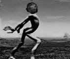magicut_1705678875602.png