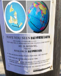magicut_1706068743962.png